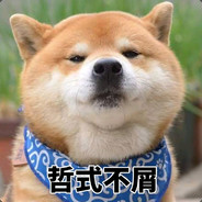 我的媳妇仙女木