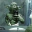 SEXY YODA