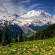 Дмитрий Гордон