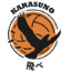hayashi_sensei