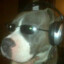boof of the year edition