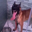 Avatar of Kitso