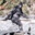 Sekiro
