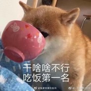 老八的奇妙冒险