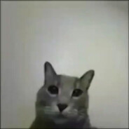 carlito chevez - steam id 76561198072574784