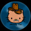 Howdy Cat