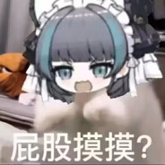 你觉得我打枪很马吗