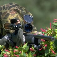 gаrik™ツ
