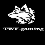 TWF.gaming | matheusdidone