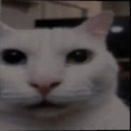 SHABBA - steam id 76561198109556554