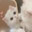 阿桃