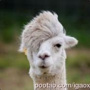 求个国神带我飞好吗?