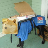 Pizza Doge