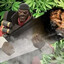 Demoman