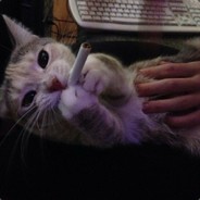 .DLL - steam id 76561197965829216