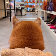 𝗦𝘄𝗲𝗲𝘁𝟮𝗸𝗸