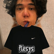 flesys_ 𓆩𓆪