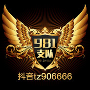 981桂A、阿亮【支队】