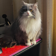 30岁打LOL找不到鼠标