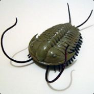Brigltjc