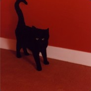 鰻魚般肥美之人