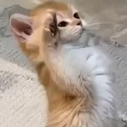 Odrzucili mi wniosek o zapomoge's avatar