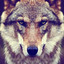mhk_andry