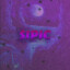 SIPIC