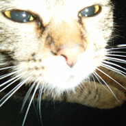 Sorisso - steam id 76561198939876771