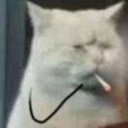 犹豫，就会败北！