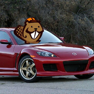 бобр на mazda rx-8