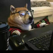 鱼鱼鱼鱼鱼鱼🐟