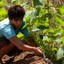 burmese farmer