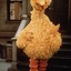 Big Bird