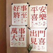 我看见海棠花未眠灬