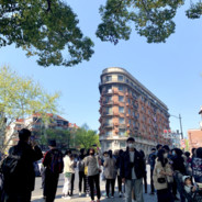 别拉枪线了 先拉我呀