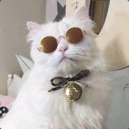 攻防俱佳不绿型浪投手