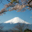 イワノフのカス