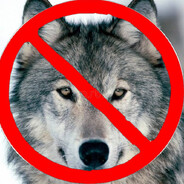 wolves are not real