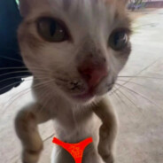 莫愁千里路自有到来风