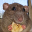The Great Ratsby