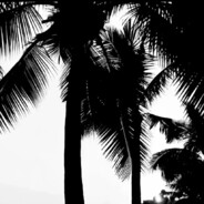 怪兽的魔法口袋