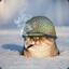 War Cat General [WCA]