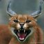 Tigr73RUS