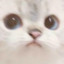 CookieTheToast