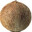 coconutcody321