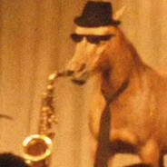 南 Medusa 天门 الف . 転