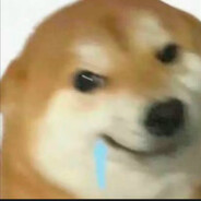 大英警察进比利时