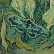 小飞鱼威廉姆怂