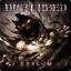 Disturbed